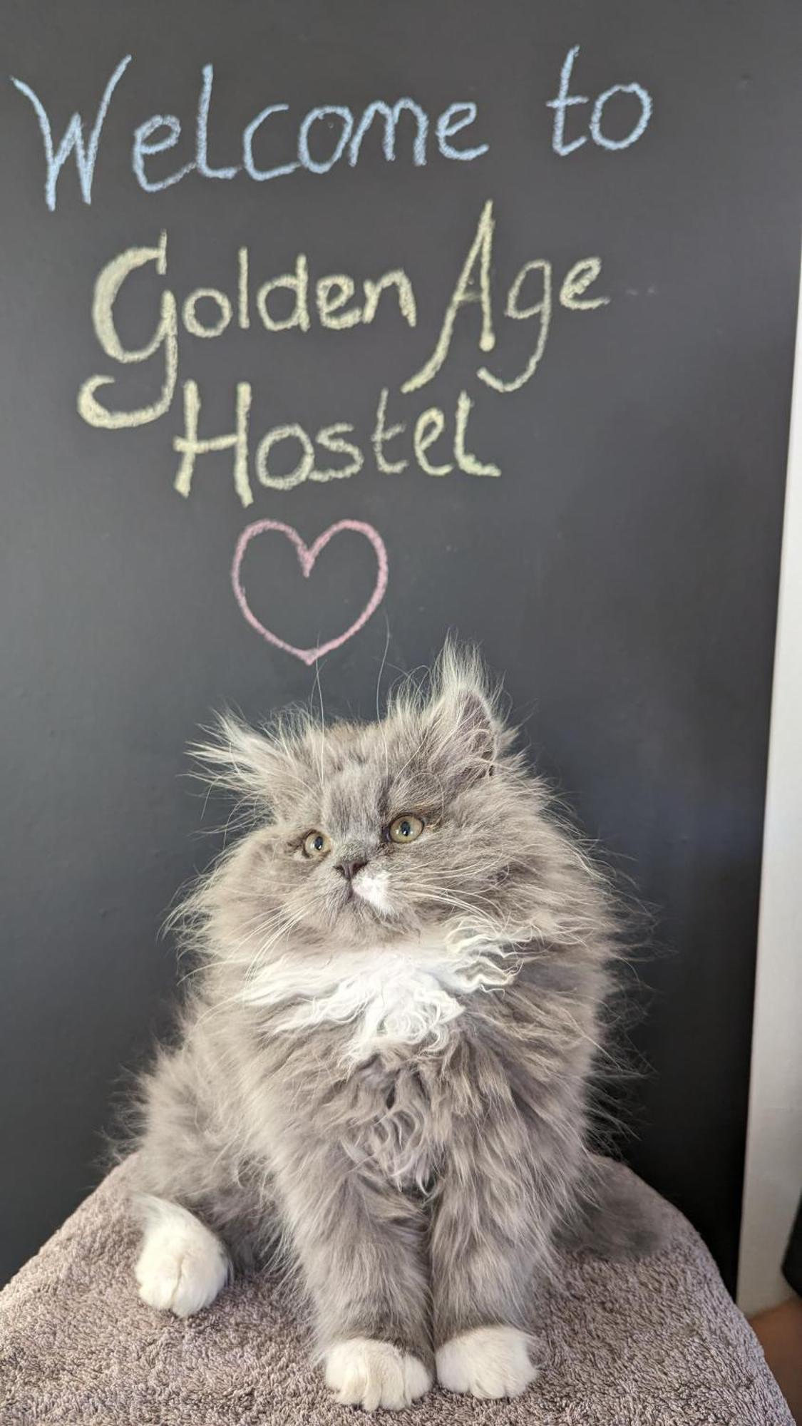 Golden Age Hostel Охрид Экстерьер фото